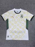 24/25 Ivory Coast away