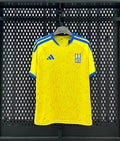 26/27 Ukraine home game