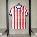 Maillot Paraguay 2026/27 Domicile