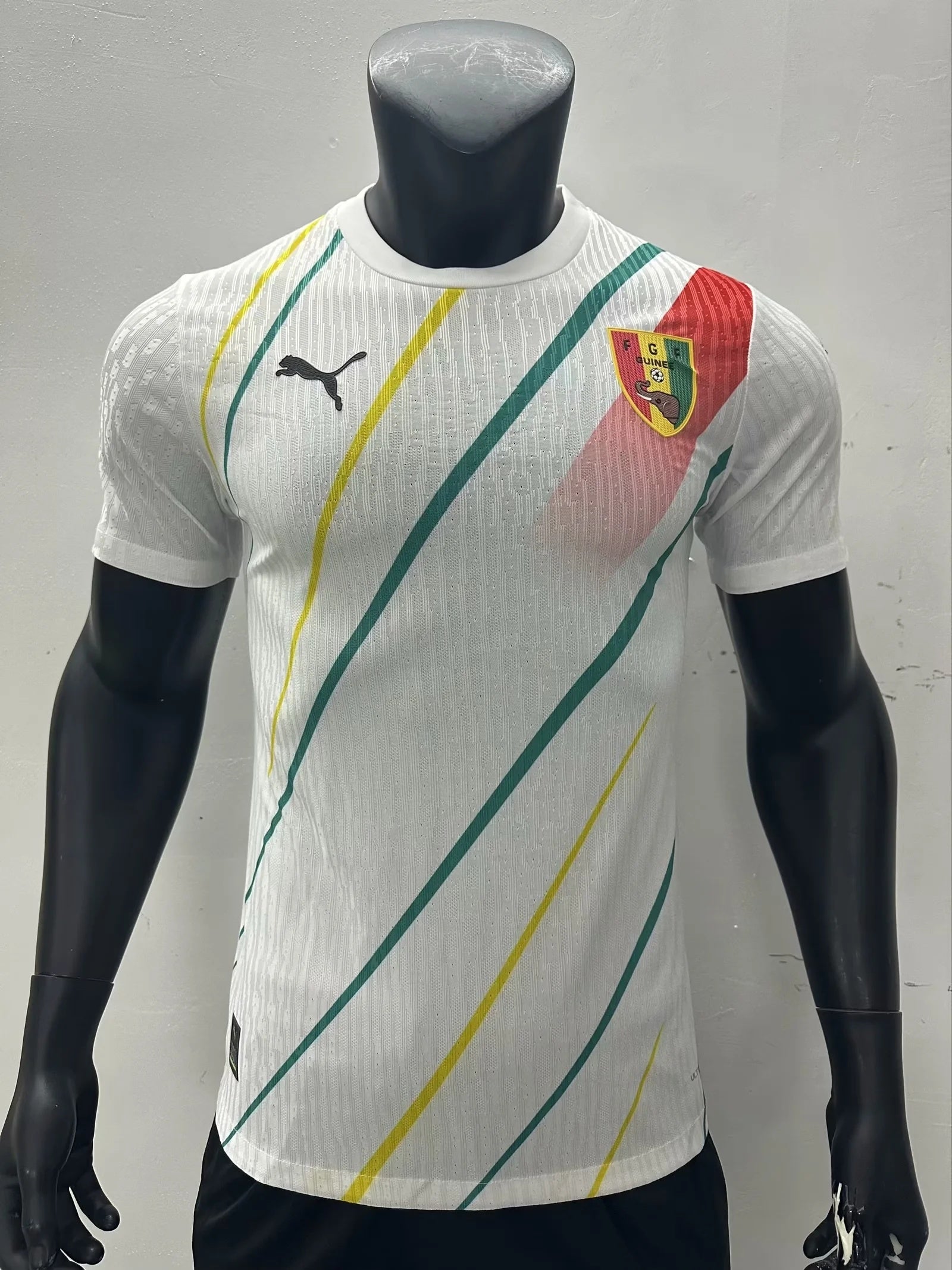 23/24 Player Edition: Republic of Guinea away