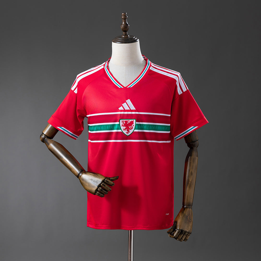 Maillot Pays de Galles 2026 Domicile