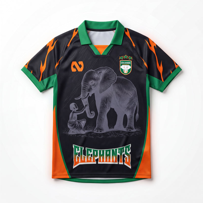 Maillot Côte d'Ivoire concept  Noir  2025/26