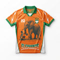 Maillot Côte d'Ivoire concept  Orange 2025/26 Domicile
