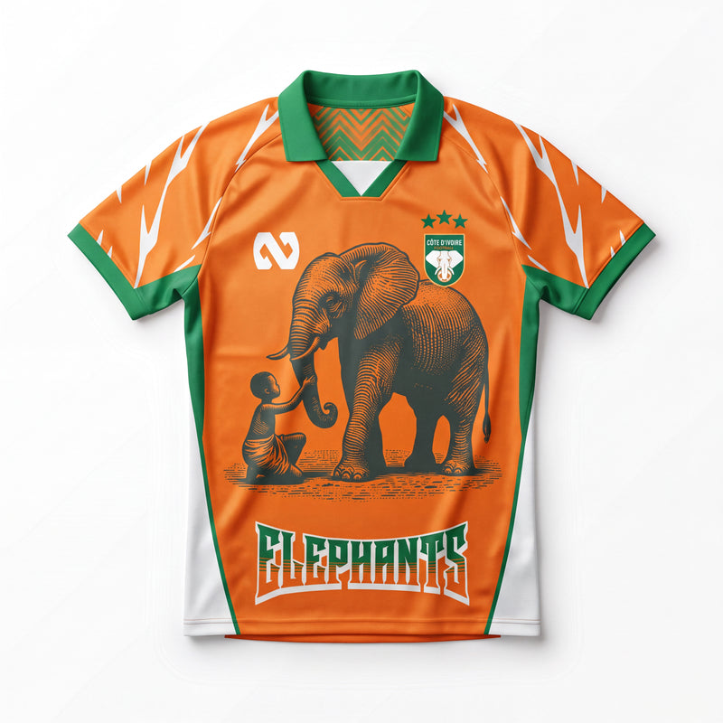 Maillot Côte d'Ivoire concept  Orange 2025/26 Domicile