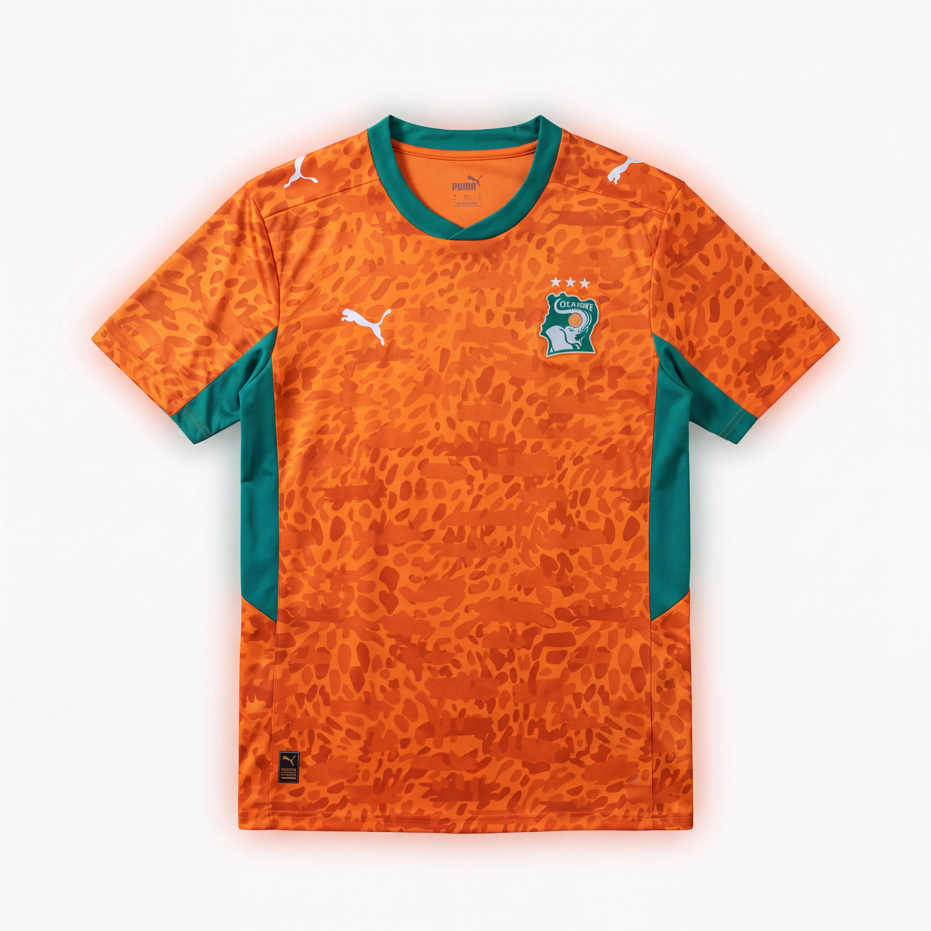 Maillot Côte d'Ivoire 2026/27 Domicile