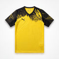 25/26 Dortmund Home