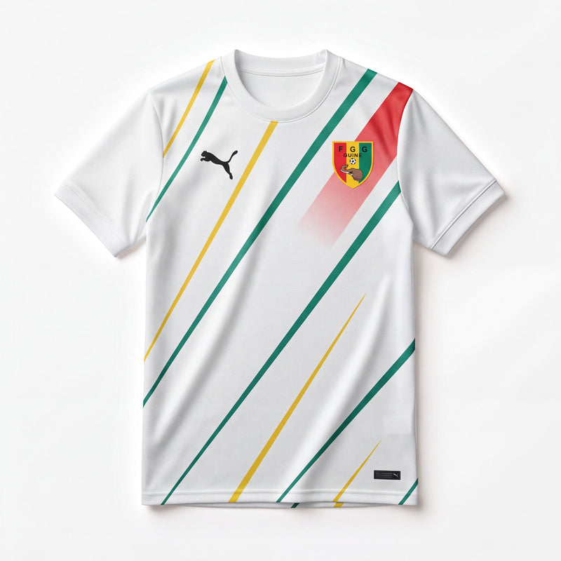 23/24 Player Edition: Republic of Guinea away