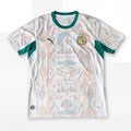 Maillot Sénégal 2026 Extérieur 2 étoiles