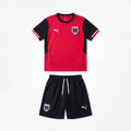 Austria 2026 Home Ensemble